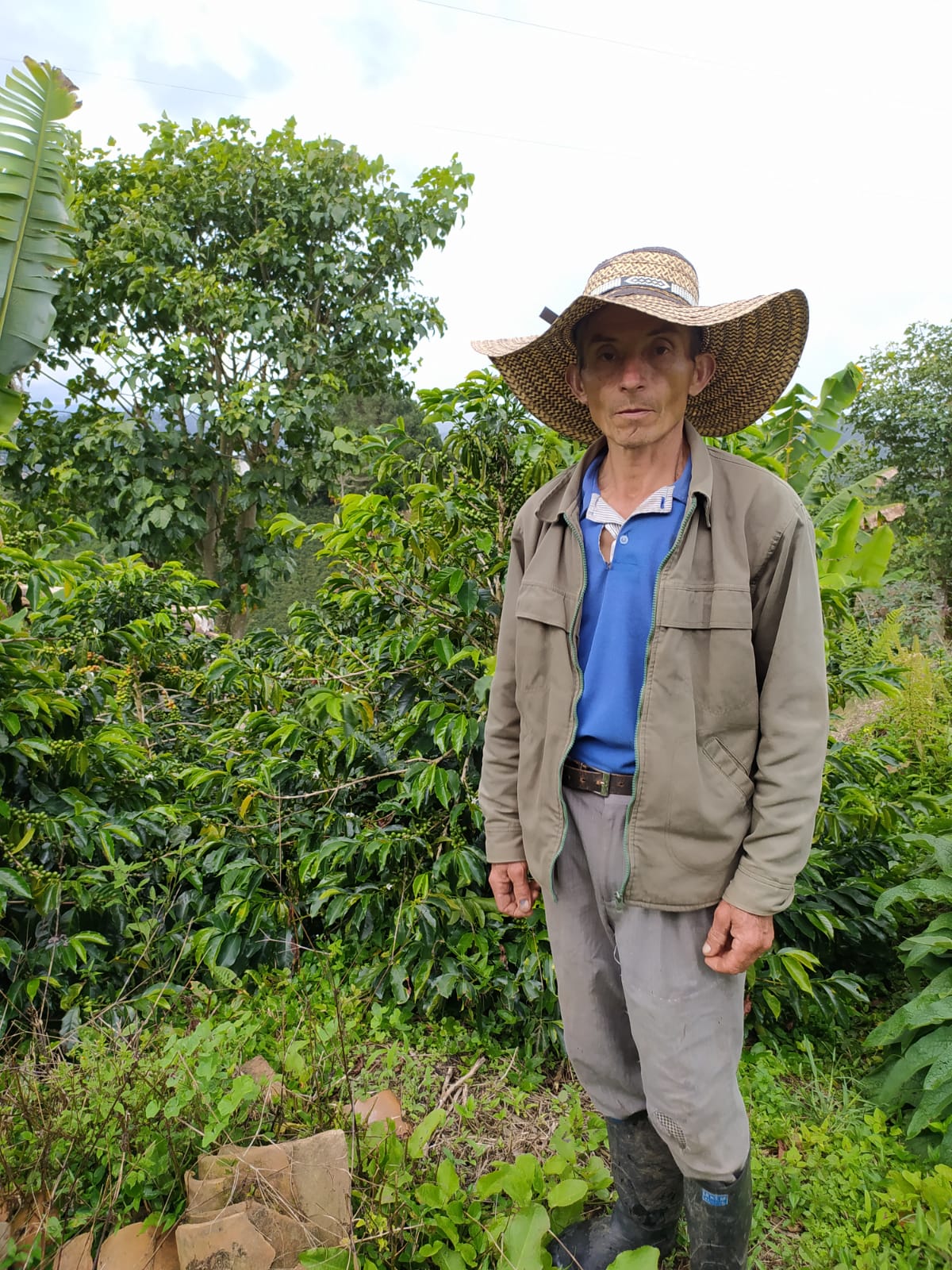 COLOMBIA GESHA Finca Santa Lucia【浅煎り】120 g