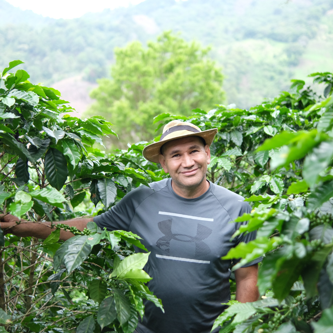 EL SALVADOR Don Jaime 【浅煎り】 200g