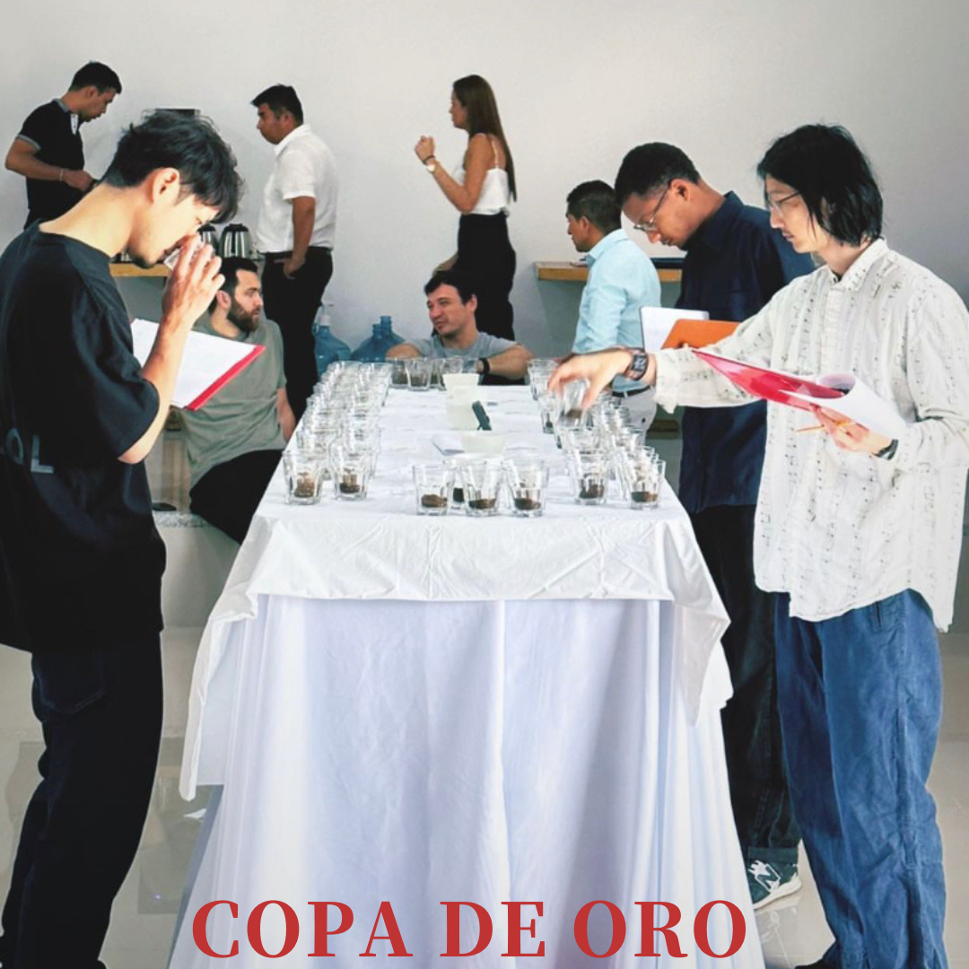WEB限定 Copa de Oro 2022 リミテッドセット