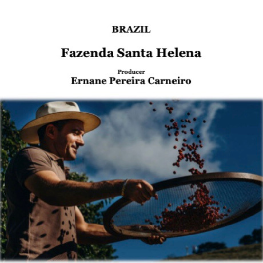 BRAZIL Santa Helena【深煎り】200g
