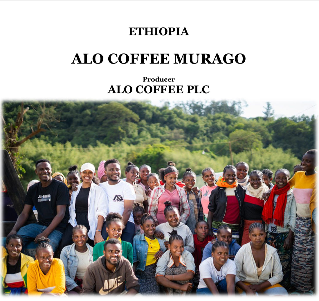 ETHIOPIA ALO COFFEE MURAGO NATURAL【浅煎り】200g