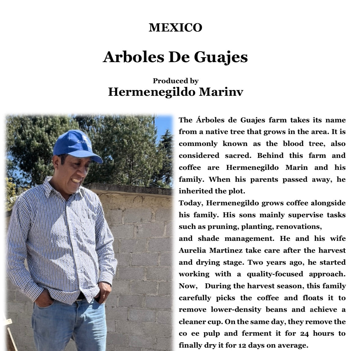 【昨年話題】MEXICO Arboles de Guajes【浅煎り】150g