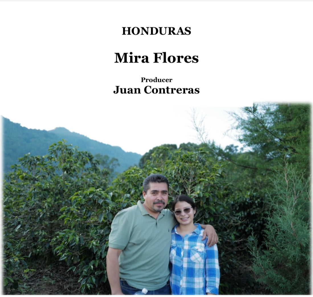 HONDURAS Mira Flores【浅煎り】200g
