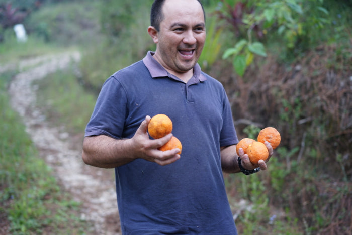 HONDURAS Finca Cruz Grande【中煎り】200g