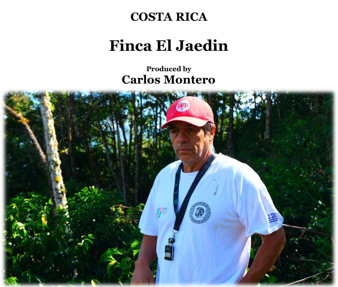 COST RICA EL JARDIN HONEY LOT【浅煎り】150g