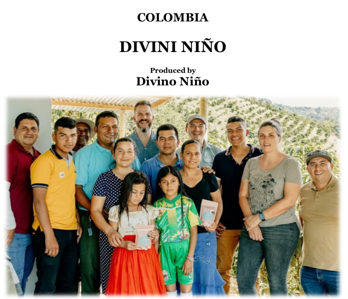 COLOMBIA DIVIÑO NINO GEISHA【浅煎り】100g ゲイシャ種