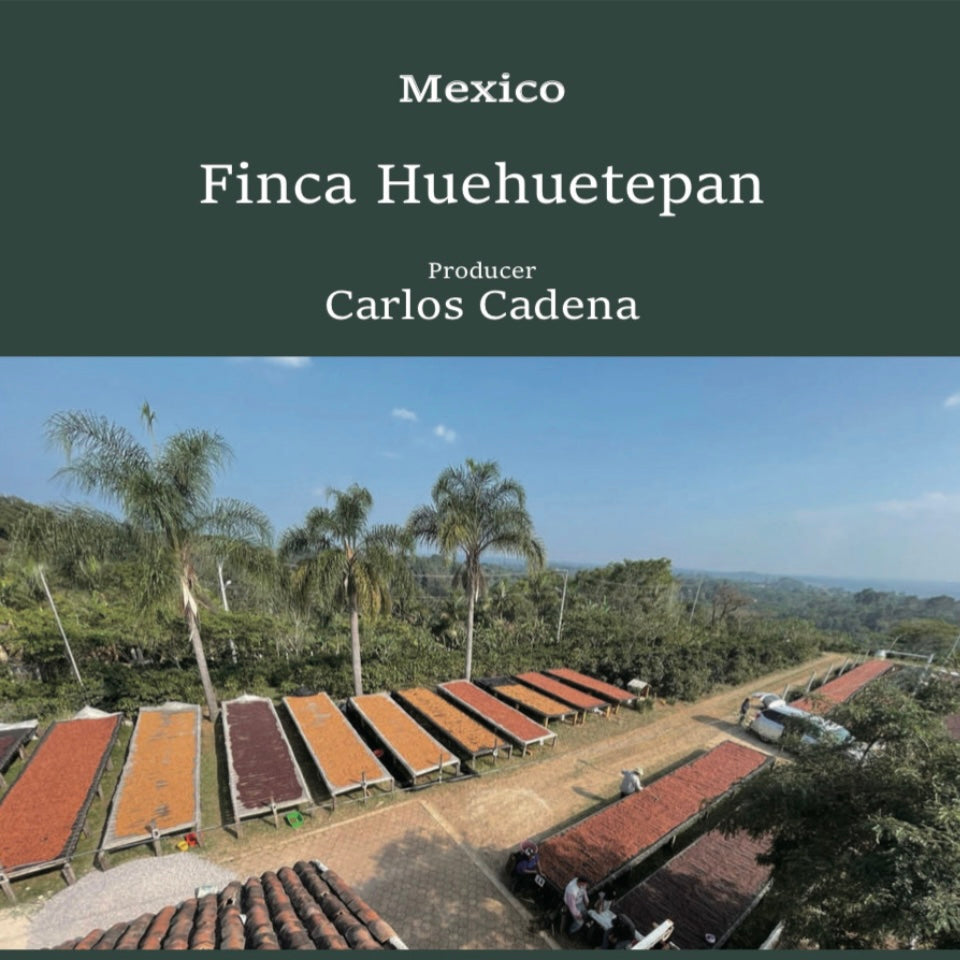 MEXICO Huehuetepan 150g 【中煎り】
