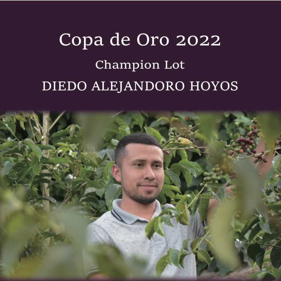 Copa de Oro 2022 Champion 【浅煎り】100g