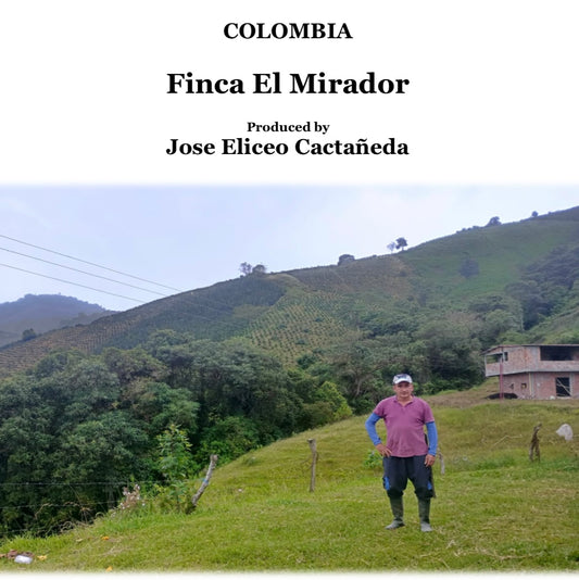 COLOMBIA　EL MIRADOR【浅煎り】200g