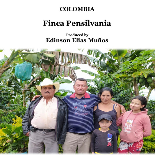COLOMBIA　PENSILVANIA【中煎り】200g