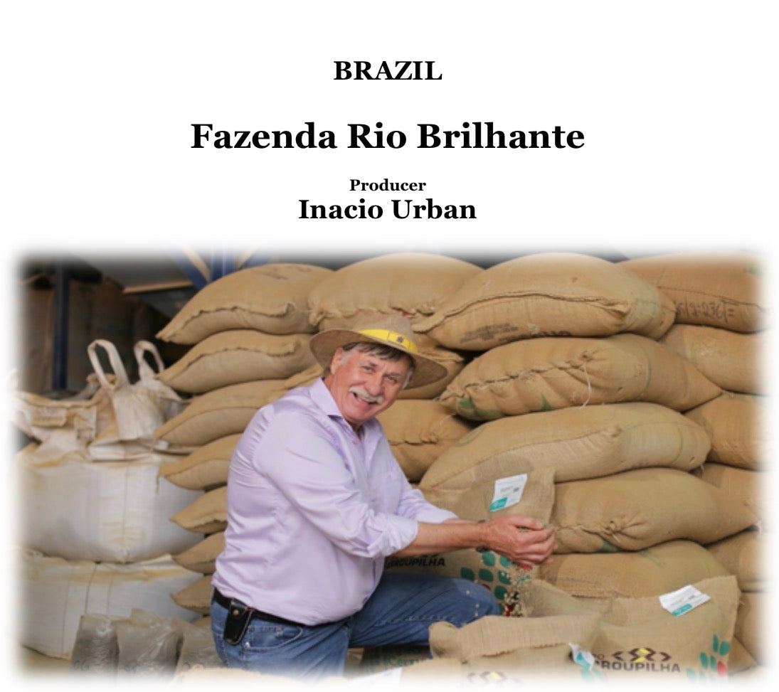 BRAZIL Rio Brilhante Classic Natural【深煎り】200g