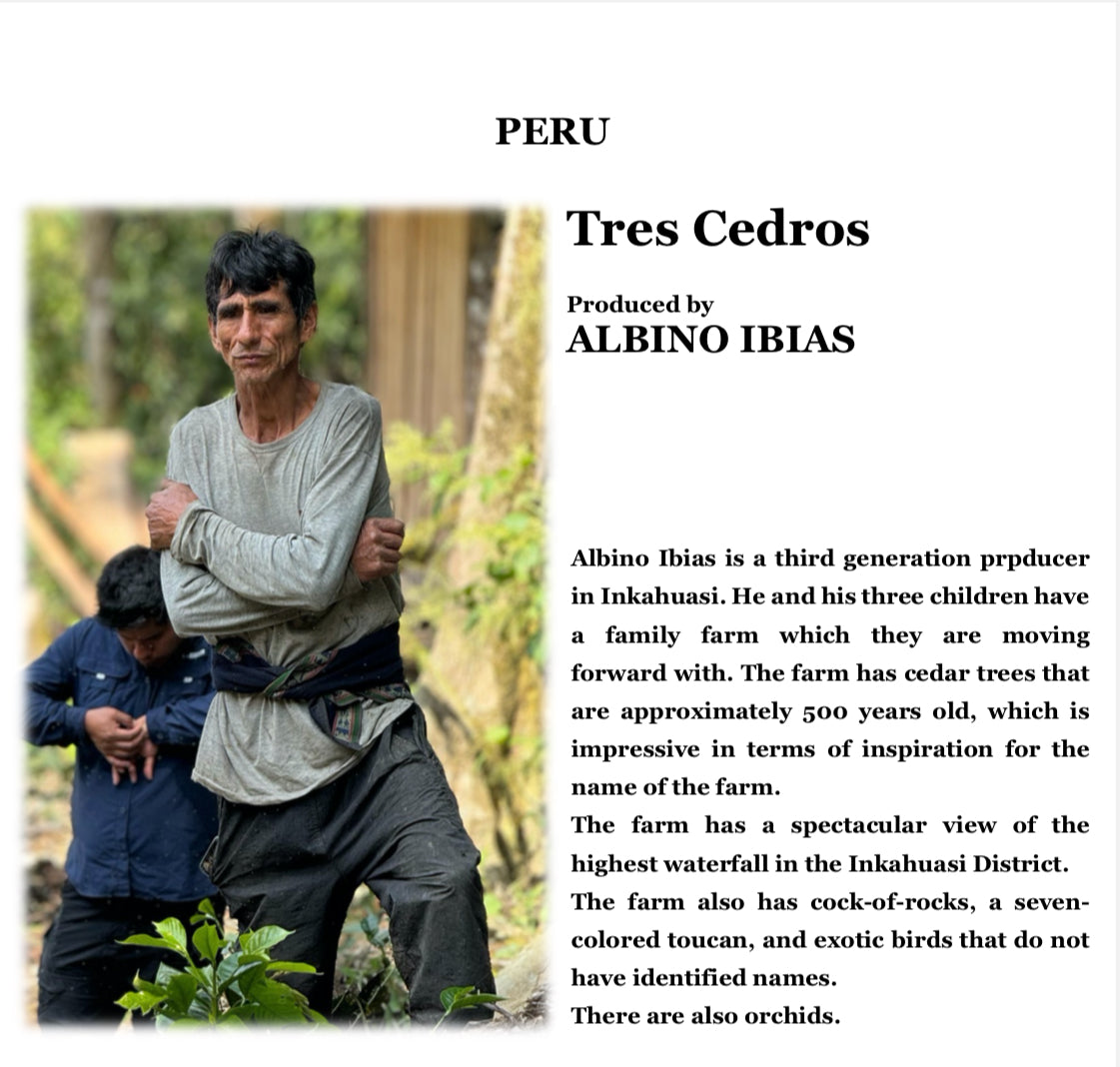 【数量限定】 PERU INKA GEISHA (SL9) 【浅煎り】100g