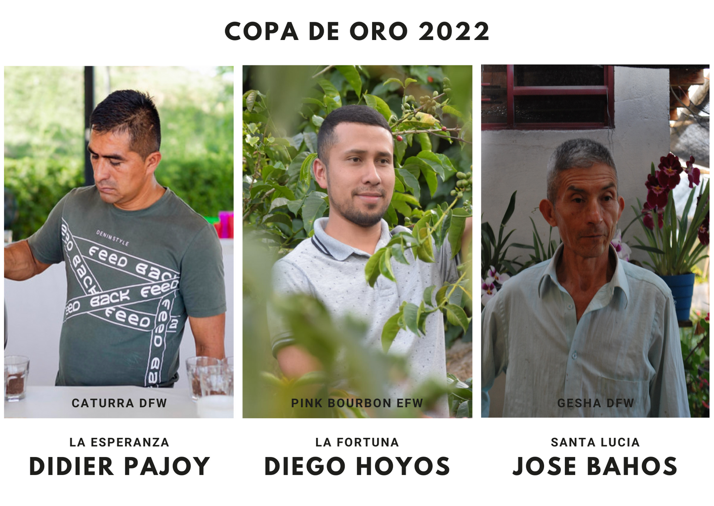 WEB限定 Copa de Oro 2022 リミテッドセット