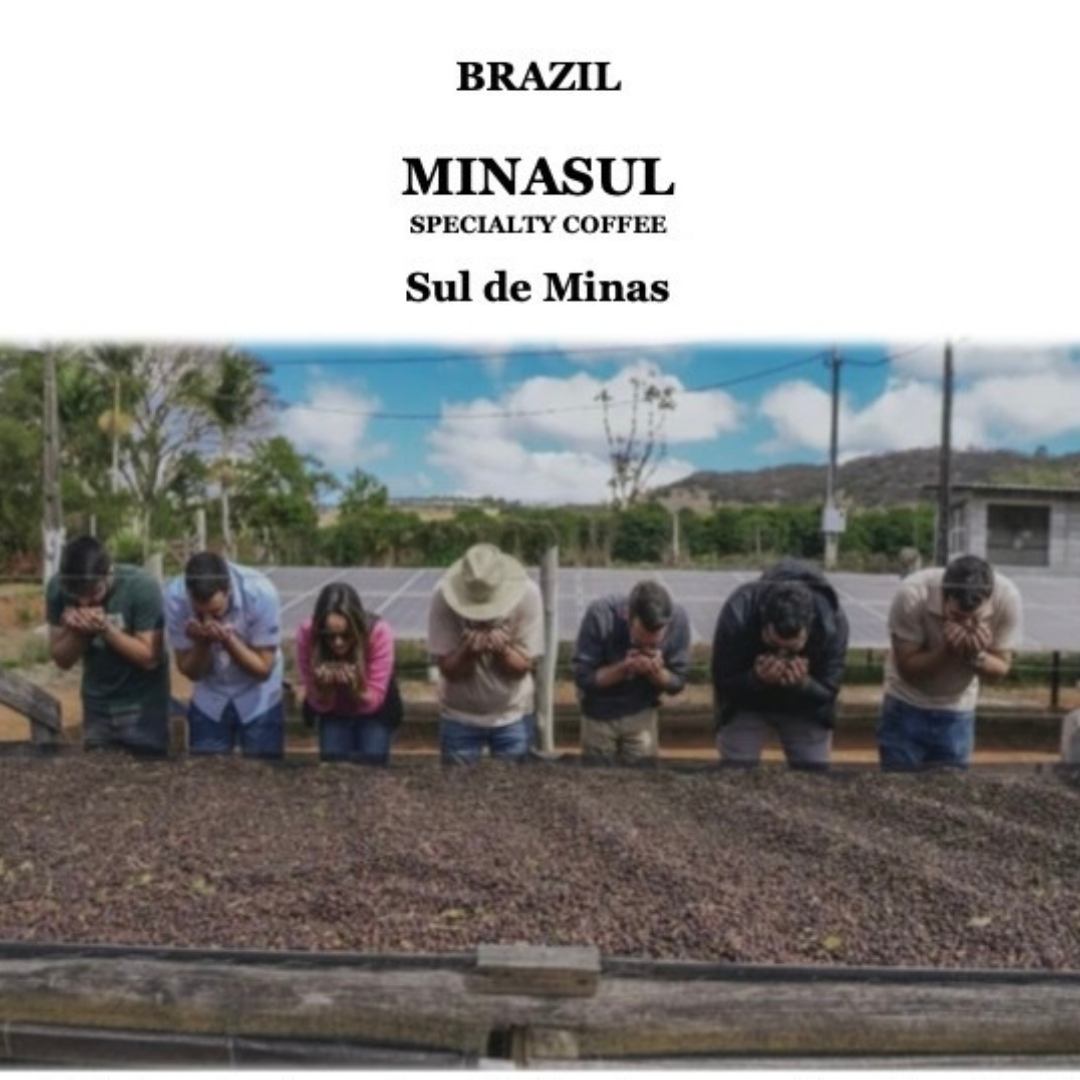 BRAZIL　Minasul【深煎り】200g