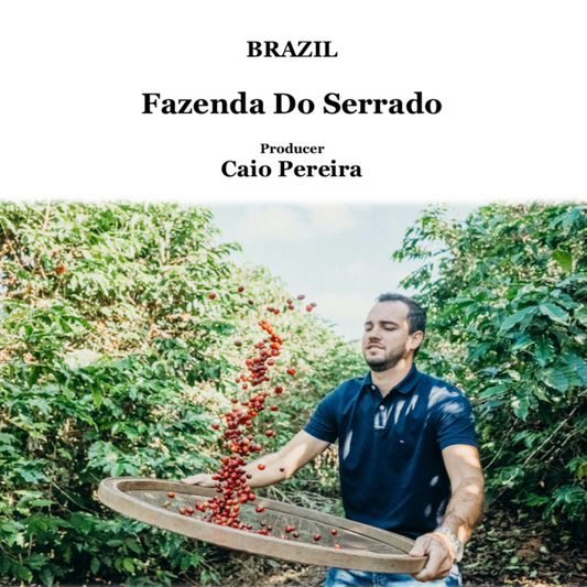 BRAZIL　Fazenda Do Serrado【浅煎り】200g