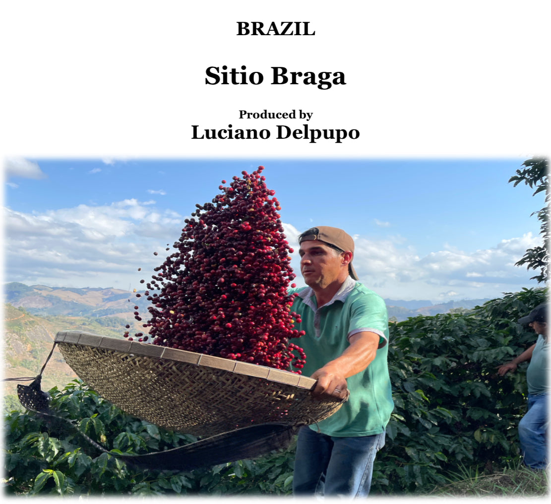 BRAZIL　Sitio Braga【浅煎り】200g