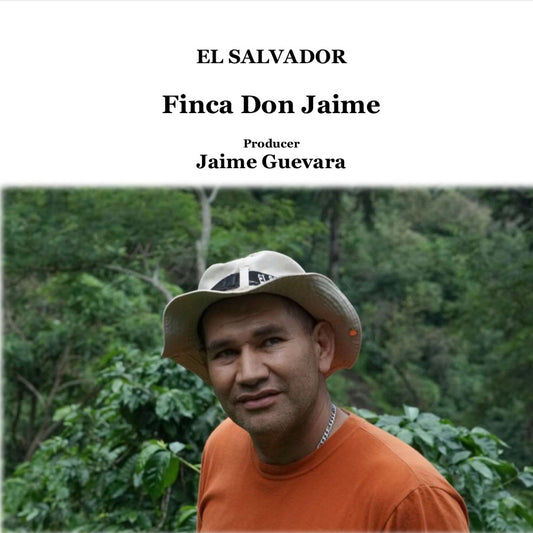 EL SALVADOR　Don Jaime　【浅煎り】　　200g