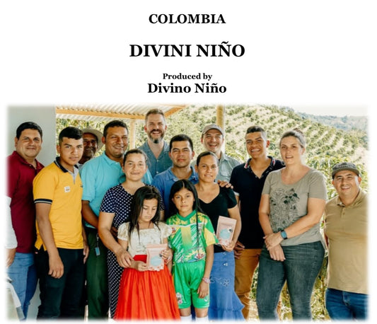 COLOMBIA DIVIÑO NINO GEISHA【浅煎り】100g ゲイシャ種
