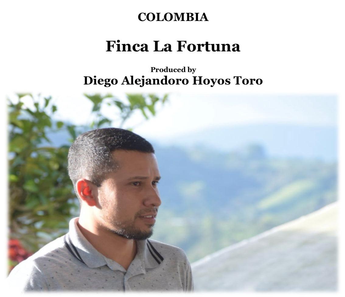 COLOMBIA　La Fortuna 2025【浅煎り】200g ピンクブルボン種