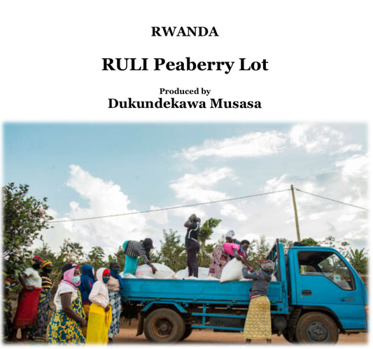 RWANDA Ruli Peaberry Lot 【浅煎り】200g