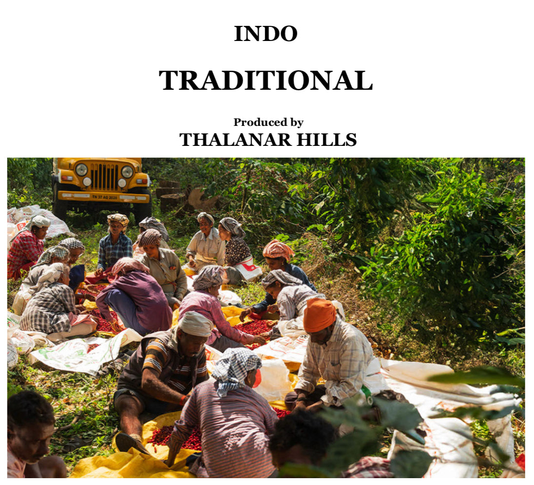 【超希少】INDO TRADITINAO【浅煎り】150g