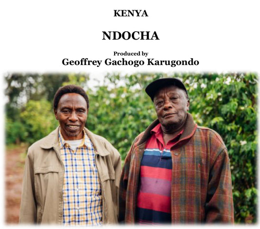 KENYA NDOCHA AB【浅煎り】200g