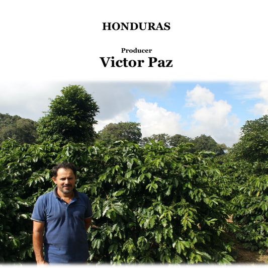 HONDURAS　VICTOR PAZ【浅煎り】200g