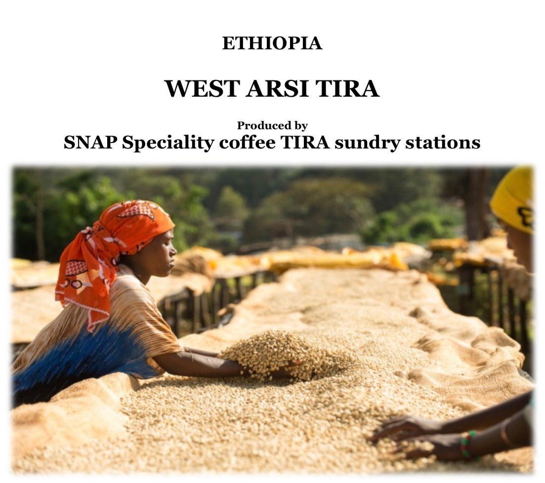 ETHIOPIA WEST ARSI TIRA【浅煎り】200g 　エチオピア