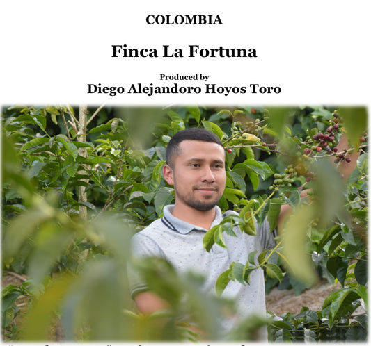 COLOMBIA　La Fortuna【浅煎り】200g