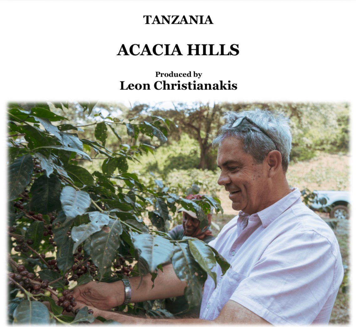 【数量限定】 TANZANIA ACACIA HILS GEISHA AA 【浅煎り】100g