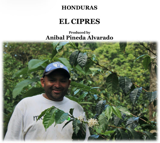HONDURAS El Cipres - Bourbon Honey 【浅煎り焙煎】200g