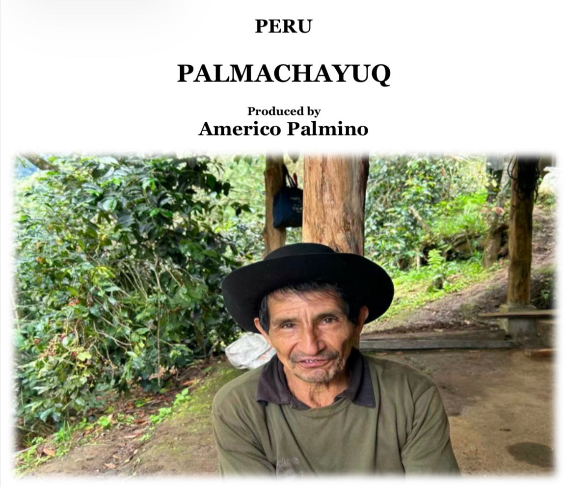 【数量限定】 PERU INKA GEISHA (SL9) 【浅煎り】100g