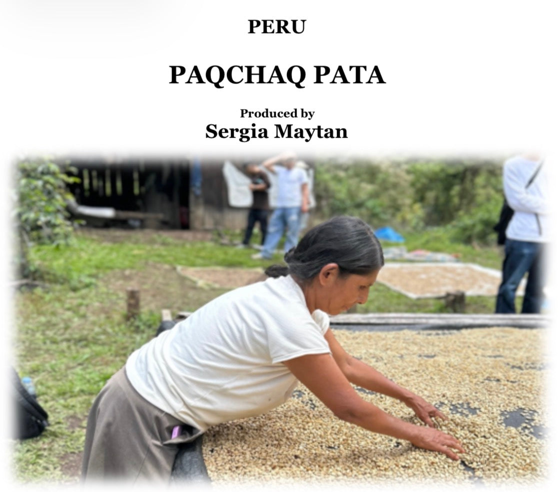 【現地買付】PERU PAQCHAQ PATA - Yellow Caturra 【浅煎り焙煎】 200g