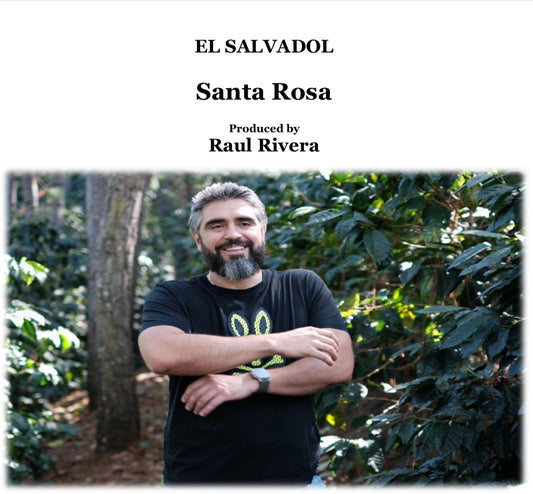 EL SALVADOR　Santa Rosa Washed　【浅煎り】　150g　パカマラ種
