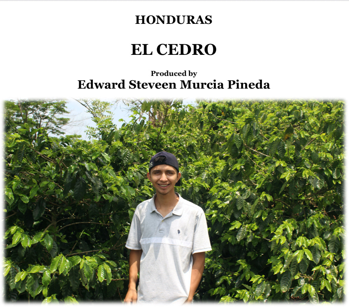 HONDURAS El Cedoro【浅煎り】200g